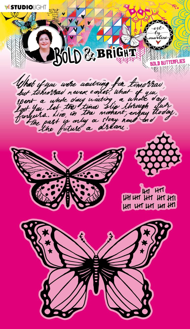 ABM Clear Stamp Bold butterflies Bold & Bright 148x210x3mm 5 PC nr.126 - Afbeelding 2