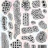 Exclusive textures- re print