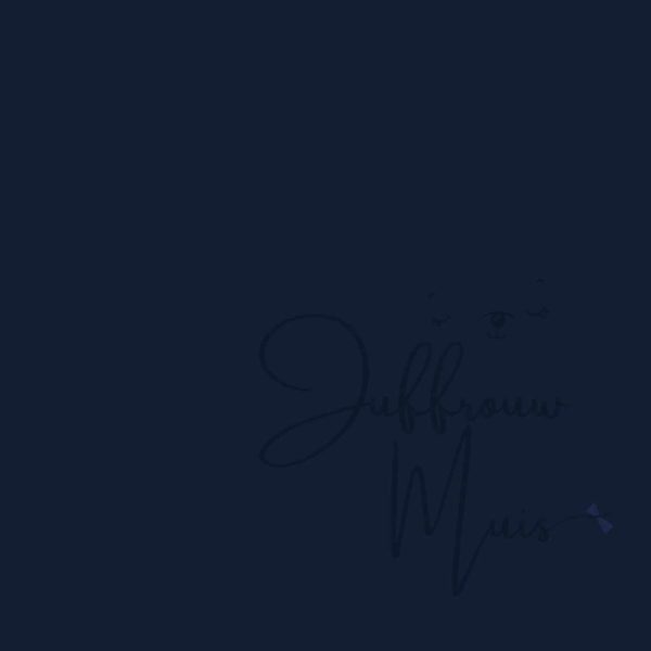 Juffrouw Muis Special Delivery - Afbeelding 18