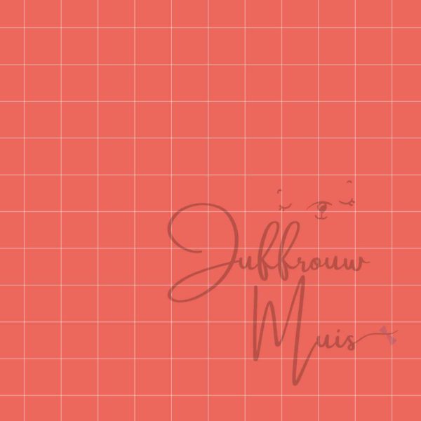 Juffrouw Muis Welkom Sinterklaas - Afbeelding 5