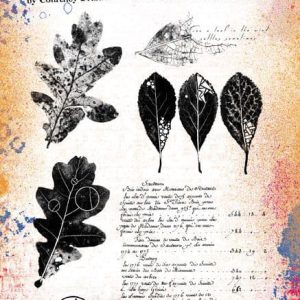 PaperArtsy Stamp ECF05