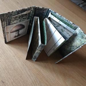 Workshop 7 nov 25 10.00uur Instax album