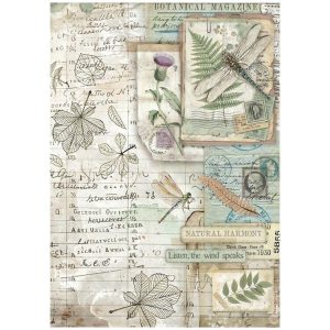 Rice papier Stamperia Herbarium  Silvae